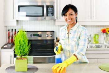 House Cleaning by The Dust Deputy LLC